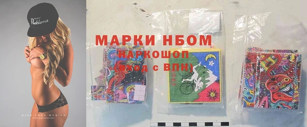 индика Вязники