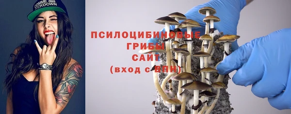 прущая мука Вяземский