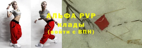индика Вязники