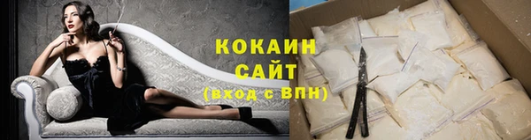 прущая мука Вяземский