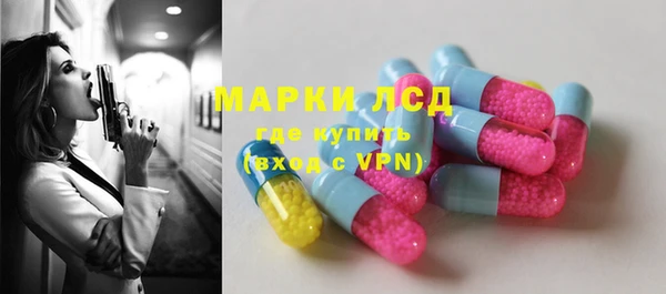 индика Вязники