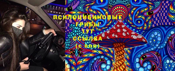 индика Вязники