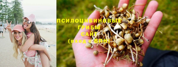 ALPHA PVP Вязьма