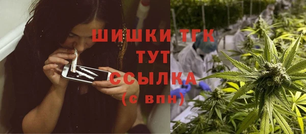 индика Вязники