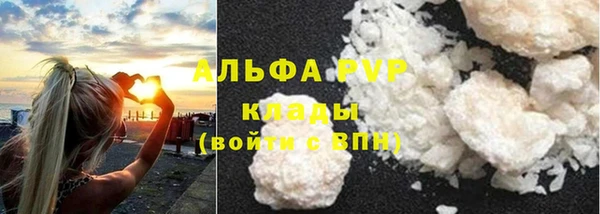 прущая мука Вяземский
