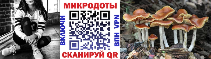 Псилоцибиновые грибы ЛСД  Шилка 